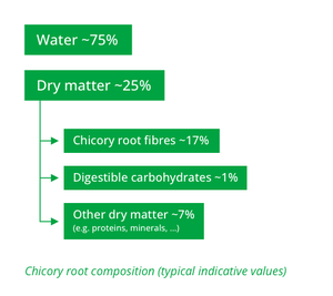 Chicory root composition (typical indicative values)